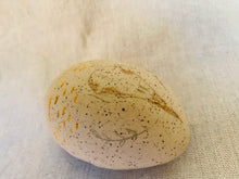 Load image into Gallery viewer, Bug Stone #2 - Shing Yin Khor

