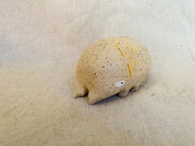 Load image into Gallery viewer, Bug Stone #2 - Shing Yin Khor
