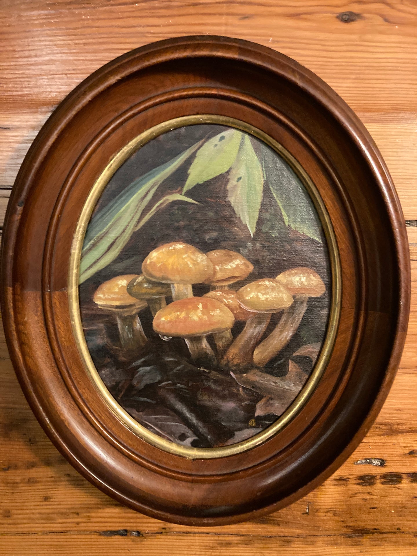 Forest Floor - Caitlynn Abdow