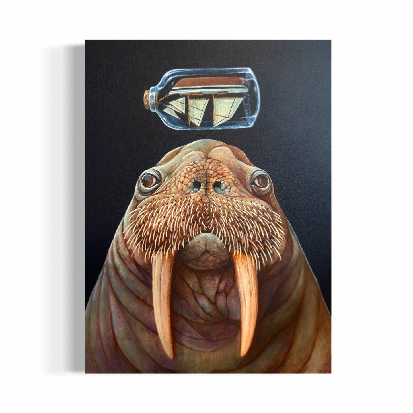 May Day - Ryan Harris