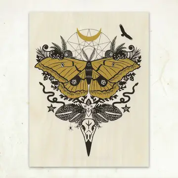 Silk Moth - Wood Print
