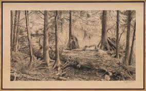 The Whale - Sara Moen