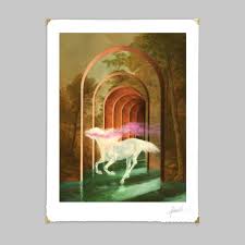 The Secret Salt Fire - Andrea Du Plessis