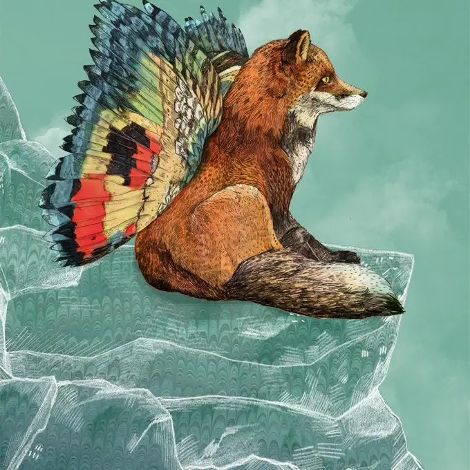 Flying Fox - Sandra Dieckmann