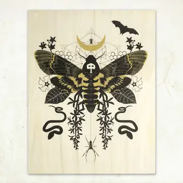 Hawk Moth - Wood Print