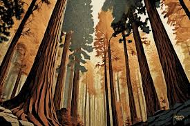 The Golden Forest - Andy Kerr