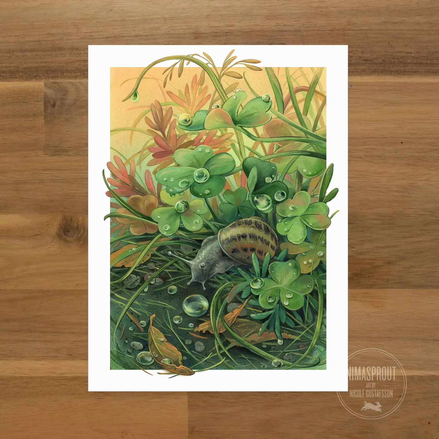 Garden Snail - Nicole Gustafsson