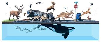 Stampede - Josh Keyes