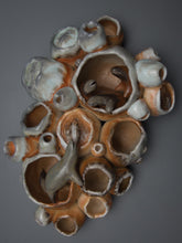 Load image into Gallery viewer, Large Barnacle Cluster - Eva Funderburgh
