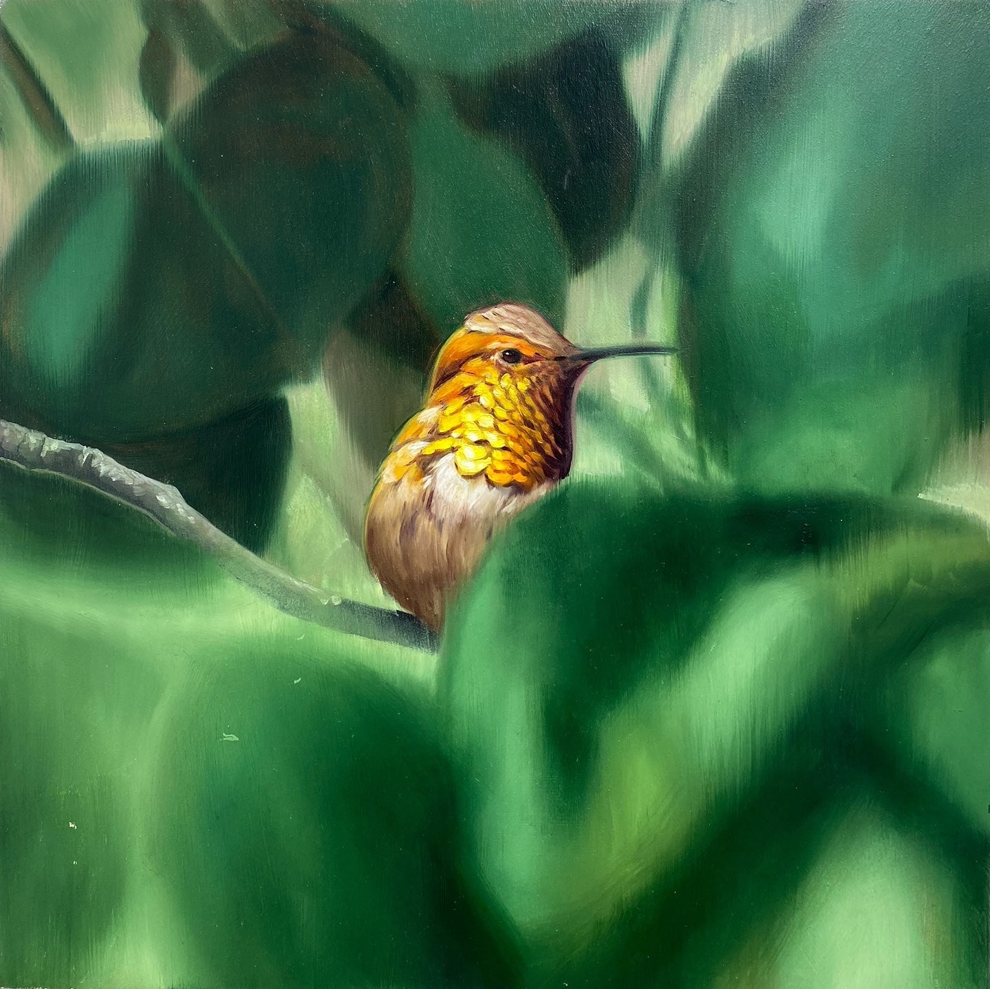 Rufous Hummingbird - David Rice